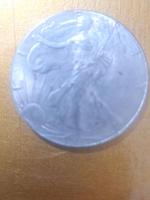 سکه ۱ دلار امریکا ۱۹۰۶