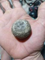 یک نوع فسیل قدیمی 